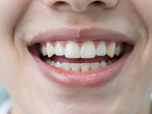 Co je třenový zub? Vysvětlení pojmu a číselného označení
